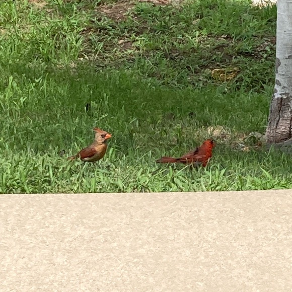 Meet your Posher - Picture 1 of 1